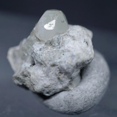 塩素燐灰石・Apatite-(CaCl)