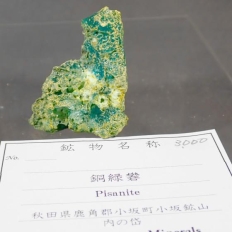 銅緑礬・Pisanite
