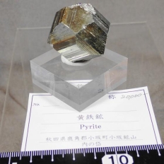 黄鉄鉱・Pyrite