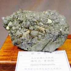 ӊD΂ƉzApatite&Chalcopyrite [ӊDΌ]