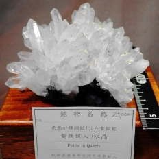 Sz萅EPyrite in Quartz