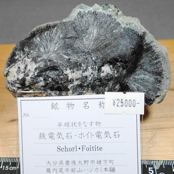 �S�d�C�΂ƃz�C�g�d�C�΁ESchorl&Foitite