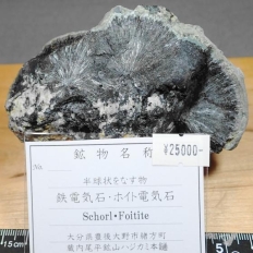 �S�d�C�΂ƃz�C�g�d�C�΁ESchorl&Foitite