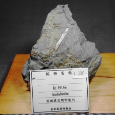 �g���΁EAndaiusite