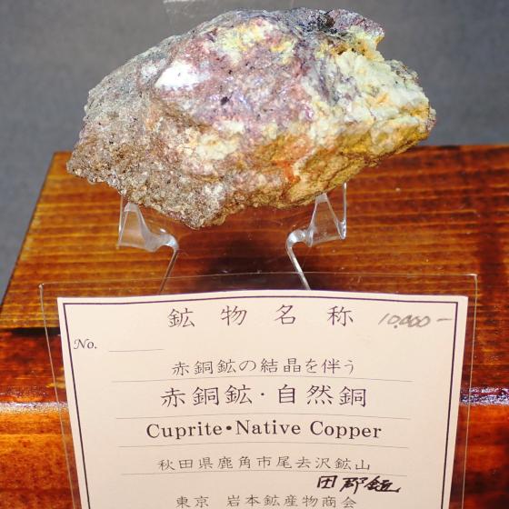 �ԓ��z�Ǝ��R���ECuprite&Native Copper �m�ԓ��z�̌����𔺂�]