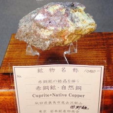 �ԓ��z�Ǝ��R���ECuprite&Native Copper �m�ԓ��z�̌����𔺂�]