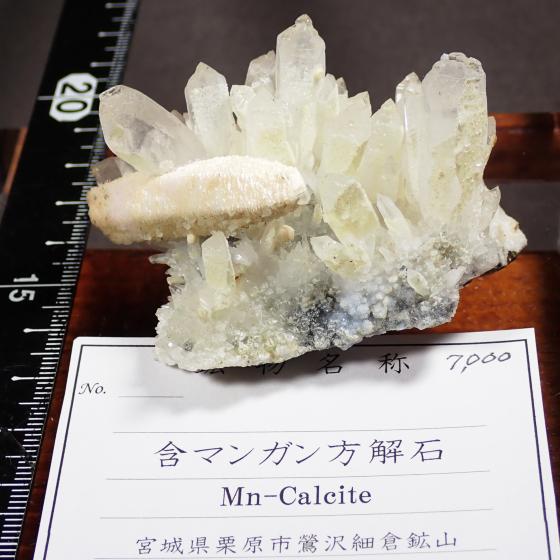 �܃}���K������΁EMn-Calcirte