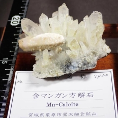 �܃}���K������΁EMn-Calcirte