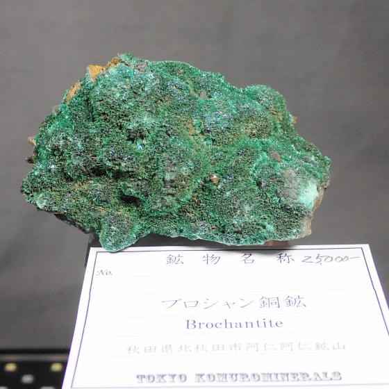 �u���V�������z�EBrochantite