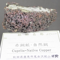 �ԓ��z�Ǝ��R���ECuprite&Native Copper