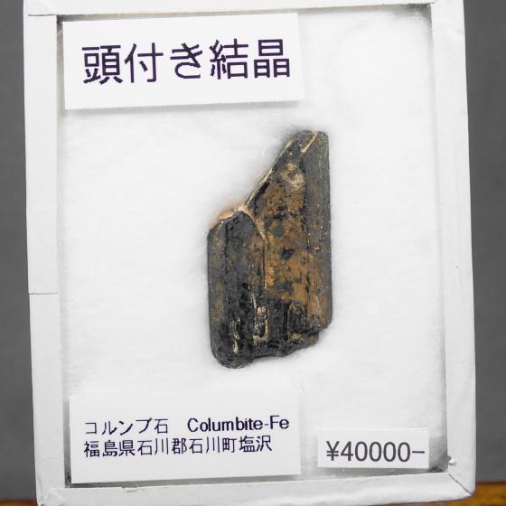 �R�����u�΁EColumbite-Fe