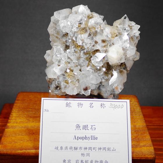 ����΁EApophylite