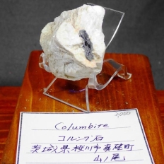 �R�����u�΁EColumbite-Fe