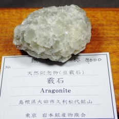 �Ł@�΁EAragonite