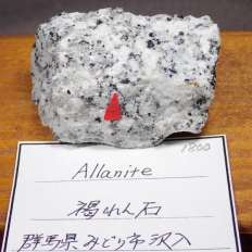 �����΁EAllanite