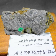 ���哺�z�ƃX�R���h�΁EEnargite&Scorodite