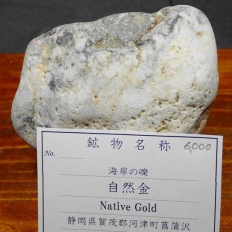 ���R��Native Gold �m�C�݂��I]