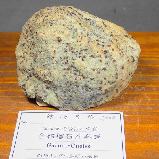 �ܒў֐ΕЖ���EGarnet-Gneiss [Almandine���܂�]