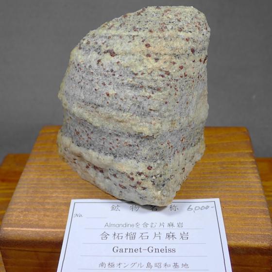 �ܒў֐ΕЖ���EGarnet-Gneiss [Almandine���܂�]