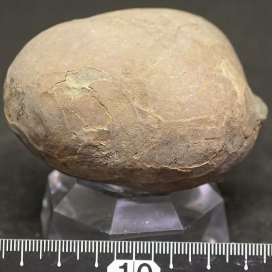 SzEVivianite