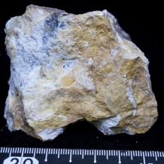 濃紅銀鉱・Pyragyrite[輝銀鉱を伴う]