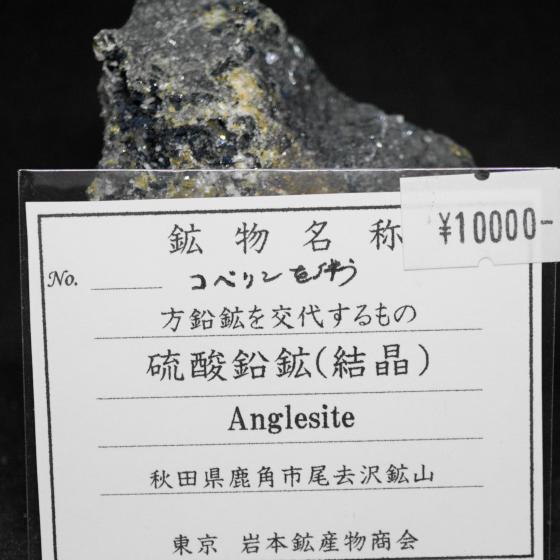 Komurominerals.com ＞ 日本産鉱物・JAPAN ＞ SOLD参考商品 ＞ 硫酸鉛鉱（結晶）・Anglesite ［コベリンを伴う]