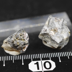 自然蒼鉛と生野鉱・Native Bismuth&Ikunolite
