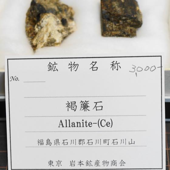 Komurominerals.com ＞ 日本産鉱物・JAPAN ＞ SOLD参考商品 ＞ 褐簾石・Allanite