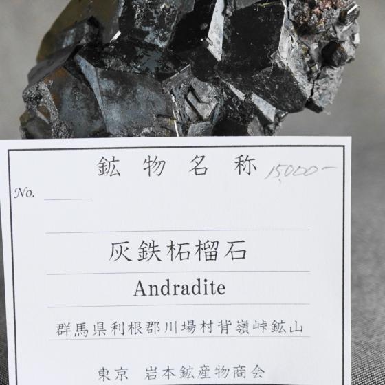 Komurominerals.com ＞ 日本産鉱物・JAPAN ＞ SOLD参考商品 ＞ 灰鉄ざくろ石・Andradite