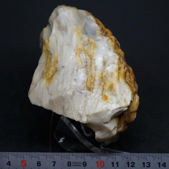 日本産鉱物・JAPAN ＞ SOLD参考商品1 ＞ 珪化木［木化蛋白石 