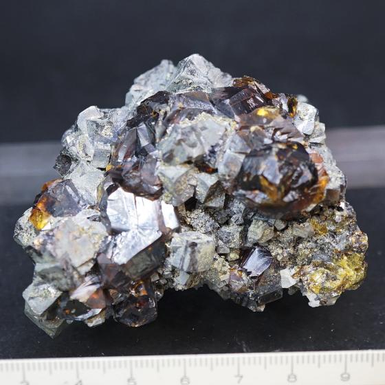 閃亜鉛鉱・Sphalerite ［鼈甲亜鉛]、方鉛鉱を伴う
