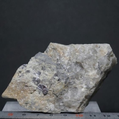 鉄重石と輝水鉛鉱・Ferberite&Molybdenite