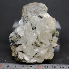 方解石・Calcite [黄銅鉱上の結晶］