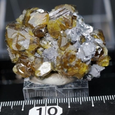 閃亜鉛鉱・Sphalerite ［鼈甲亜鉛]　方鉛鉱を伴う