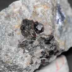 輝水鉛鉱と鉄礬柘榴石・Molybdenite&Almandine