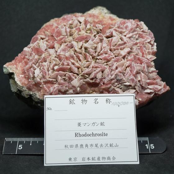 菱マンガン鉱・Rhodochrosite