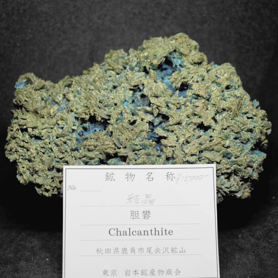 胆　礬・Chalcanthite ［結晶］