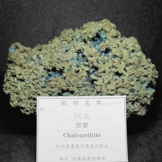 胆　礬・Chalcanthite ［結晶］