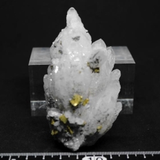 黄銅鉱と水晶・Chalcopyrite&Quartz