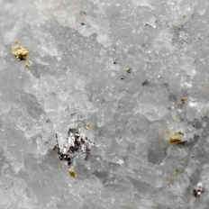 RƃezENative Gold&Tellurobismuthite