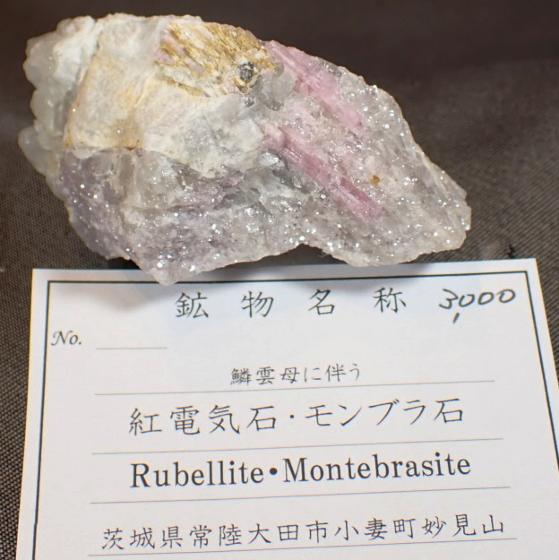 gdC΂ƃu΁ERubellite&Montebrasite m؉_ɔ]