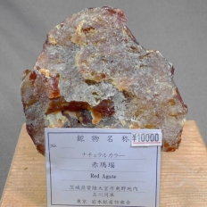 赤瑪瑙・Red Agate