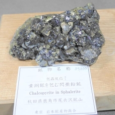 z܂ޑMzEChalcopyrite in Sphalerite