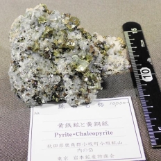 SzƉzEPyrite&Chalcopyrite