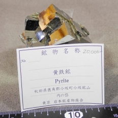 黄鉄鉱・Pyrite