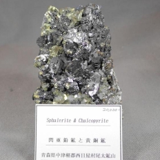 MzƉzESphalerite&Chalcopyrite