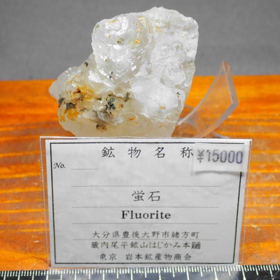 �u�@�΁EFluorite