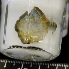 オパール[蛋白石]・Opal
