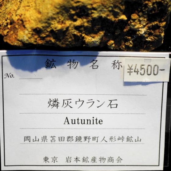 日本の鉱物 岡山県人形峠鉱山の燐灰ウラン石/結晶が群生 約４０ｇ 