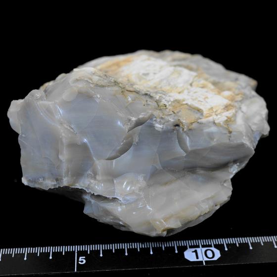 Komurominerals.com ＞ 日本産鉱物・JAPAN ＞ SOLD参考商品 ＞ 木化